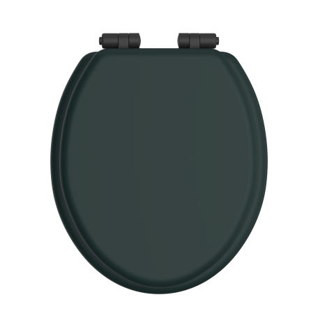 Heritage Bathrooms Soft Close Quick Release Toilet Seat & Cover Classic Green With Matt Black Hinges TSCLG105SC