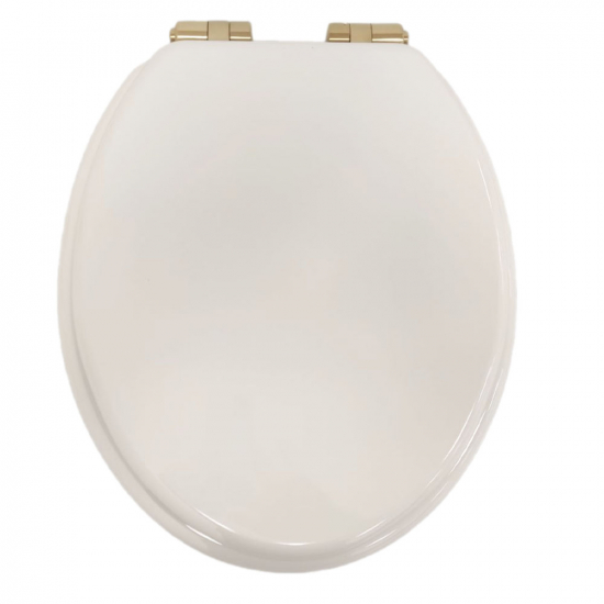 Heritage Bathrooms Soft Close Quick Release Toilet Seat & Cover White Gloss With Brushed Brass Hinges TSWGL104SC