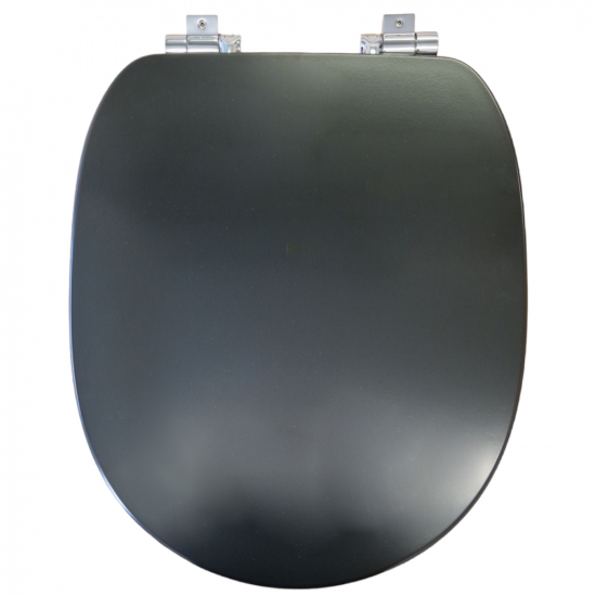 Roca Carmen Soft Close Toilet Seat & Cover Dark Grey 801B5238B