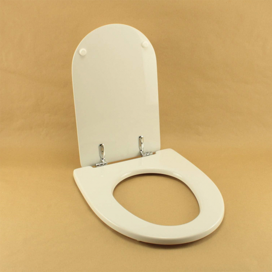 Ideal Standard Ala Standard Close Polyester Resin Toilet Seat & Cover White T620901