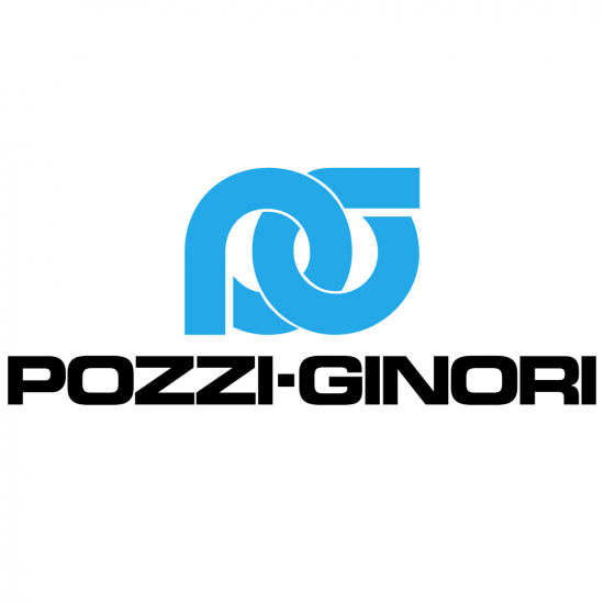 Pozzi Ginori Metrica Soft Close Toilet Seat Hinge Set 79967099