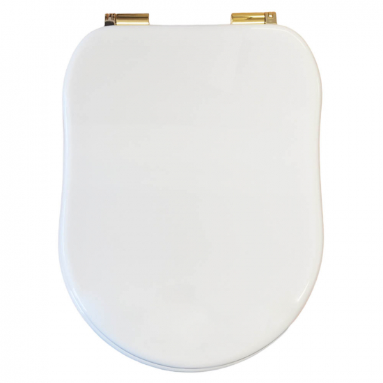 GSI Old Antea Replacement Soft Close Toilet Seat & Cover Polyester Resin White S312PS01