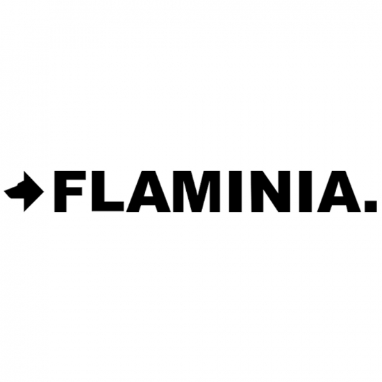 Flaminia Quick Slim Soft Close Toilet Seat Damper & Hinge Set CWKITR09