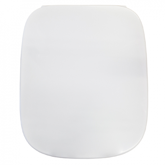Roca Debba Quick Release Toilet Seat and Cover Z8019B000U