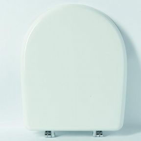 Esedra Immagine Replacement Toilet Seat (Polyester Resin) S303P03/A