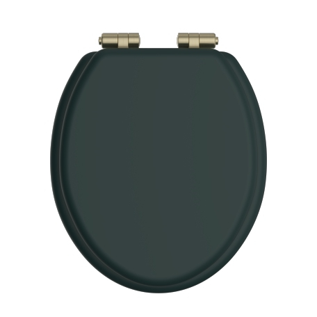 Heritage Bathrooms Soft Close Quick Release Toilet Seat & Cover Classic Green With Brushed Brass Hinges TSCLG104SC