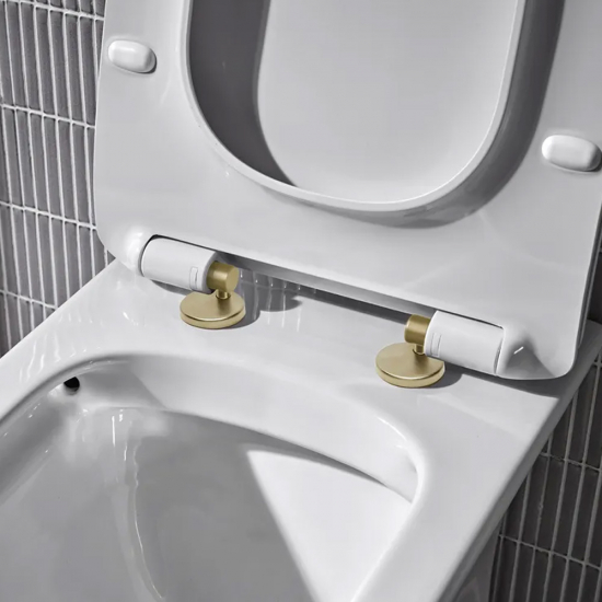 Roper Rhodes Toilet Seat Hinge Set Upgrade Brushed Brass DC4012