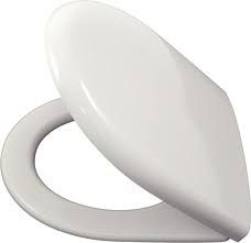 Keramag Renova Nr. 1 Standard Close Toilet Seat and Cover White 573010000