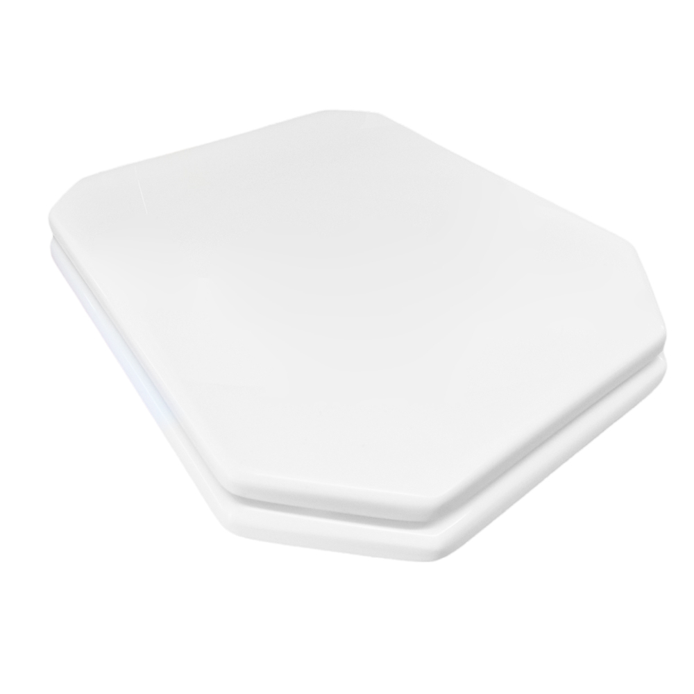 Replacement Toilet Seats Choice Replacement Toilet Seat Shop