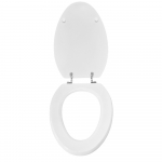 Scala Spazio Standard Close Toilet Seat & Cover Polyester Resin Colour Option S477P04/A