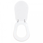 Flaminia Efi Standard Close Toilet Seat & Cover Polyester Resin White 23/C