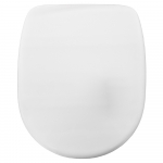 Armitage Shanks Profile 21 Soft-Close Toilet Seat - S410201