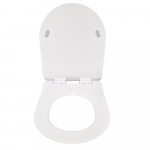 AXA Glomp Soft Close Quick Release Toilet Seat & Cover Gloss White 319101