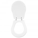 Axa Contea Standard Close Toilet Seat Polyester Resin Colour Option S460P03/A