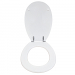 Pozzi Ginori Ipsilon Standard Close MDF Toilet Seat & Cover White CH.506373
