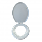 Derwent Macdee The Concept Modus Standard Close Toilet Seat And Cover Soft Mint DM-CON-SMI