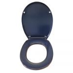 Armitage Shanks Contour 21 Standard Close Toilet Seat & Cover Blue S405836