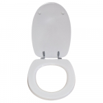 Pozzi Ginori Il Garda Standard Close Toilet Seat & Cover Polyester Resin Colour Option S342P04/A