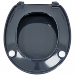 Armitage Shanks Contour 21 Standard Seat & Cover Charcoal S4065RN