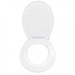Armitage Shanks Sandringham21 Standard Close Toilet Seat & Cover With Metal Hinges White E131701