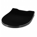 Pressalit Projecta Solid Pro Polygiene Soft Close Toilet Seat & Cover Black 1004111-DG4925