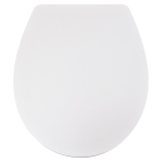 Armitage Shanks Sandringham 21 New Standard Close Toilet Seat & Cover Plastic Hinge White E131601