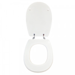 Delta Smart Standard Close Toilet Seat Polyester Resin Colour Option S503P02/E