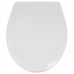 Jacob Delafon New Ola/Patio Standard Close Toilet Seat & Cover White E4267-00