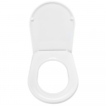 Duravit Starck 2 Standard Close Toilet Seat & Cover White 0066910000