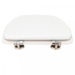 Cesabo Elegant Standard Close Toilet Seat & Cover Polyester Resin Colour Options S363P05/A