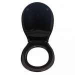 GSI Classic Soft Close Quick Release Toilet Seat & Cover Black MSC87CN20