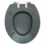 Heritage Bathrooms Soft Close Quick Release Toilet Seat & Cover Classic Green With Chrome Hinges TSCLG101SC