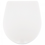 Pozzi Ginori Colibri 2 Alternative Soft Close Quick Release Toilet Seat & Cover White CH.506405