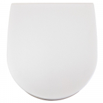 Villeroy & Boch Lifetime Soft Close Quick Release Toilet Seat & Cover White 9M02S101