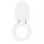 Sottini Cassara Standard Close Toilet Seat & Cover Polyester Resin Colour Option S523P01