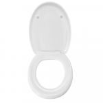 Flaminia Web Standard Close Toilet Seat & Cover Thermoset White S002T09