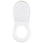 Geberit iCon Slim Soft Close Toilet Seat & Cover White 574950000