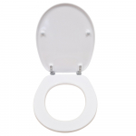 Villeroy & Boch Omnia Classic Standard Close Toilet Seat & Cover White With Continuous Hinge White 88246101