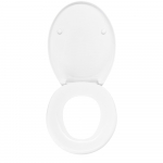 Armitage Shanks Astra Standard Close Toilet Seat & Cover Colour Choice S405001