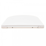 Tavistock Micra Evo Slim Soft Close Quick Release Toilet Seat & Cover White DC14037-SF