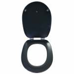 Roca Carmen Soft Close Toilet Seat & Cover Dark Grey 801B5238B
