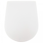 AXA DP Slim Soft Close Quick Release Toilet Seat & Cover Gloss White AF8401