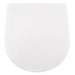 Villeroy & Boch O.Novo Vita Soft Close Quick Release Toilet Seat & Cover White With Antibac 9M67S1T1