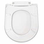 Premier Asselby Soft Close Toilet Seat & Cover White NTS002