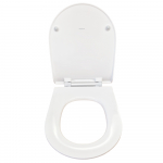 Pressalit Projecta D Solid Pro Polygiene Soft Close Toilet Seat & Cover White 1008011-DG4925