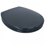 Armitage Shanks Contour 21 Standard Seat & Cover Charcoal S4065RN