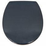 Armitage Shanks Contour 21 Standard Seat & Cover Charcoal S4065RN