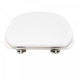 Althea Lisa Standard Close Toilet Seat & Cover Polyester Resin Colour Options  S334P02/I