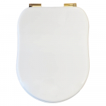 GSI Old Antea Replacement Soft Close Toilet Seat & Cover Polyester Resin White S312PS01