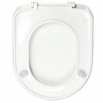 Celmac Maestro D Standard Close Toilet Seat & Cover With Stainless Steel Bottom Fix Hinge White SMA18WH / 20120358